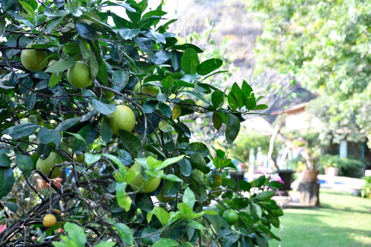 Quinta Cielo - Hotel Boutique Y Restaurante Malinalco Esterno foto